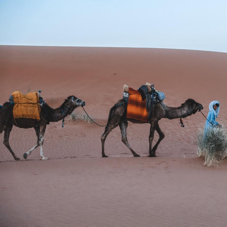 Camel Luxury Camp Bed and Breakfast Merzouga Buitenkant foto